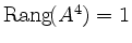 $ \operatorname{Rang}\!(A^4) = 1$