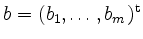 $ b = (b_1, \ldots, b_m)^\mathrm{t}$