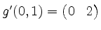 $ g'(0,1) = \begin{pmatrix}0 & 2\end{pmatrix}$