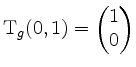 $ \mathrm{T}_g(0,1) = \begin{pmatrix}1 \\ 0\end{pmatrix}$