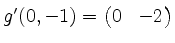 $ g'(0,-1) = \begin{pmatrix}0 & -2\end{pmatrix}$