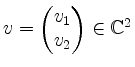 $ v = \begin{pmatrix}v_1 \\ v_2\end{pmatrix}\in\mathbb{C}^2$