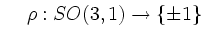 $ \hspace{0.5cm}\rho: SO(3,1) \rightarrow \{\pm 1\}$