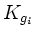 $ K_{g_i}$