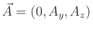 $ \vec{A}=(0,A_y,A_z)^$