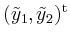 $ (\tilde{y}_1, \tilde{y}_2)^{\operatorname t}$