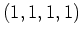 $ \mbox{$(1,1,1,1)$}$