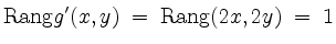 $\displaystyle \mathrm{Rang} g'(x,y) \;=\; \mathrm{Rang} (2x,2y) \;\overset{\!}{=}\; 1
$