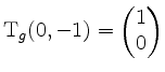 $ \mathrm{T}_g(0,-1) = \begin{pmatrix}1 \\ 0\end{pmatrix}$