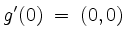 $\displaystyle g'(0) \;=\; (0,0)
$