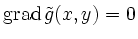 $ \operatorname{grad}\tilde{g}(x,y)=0$