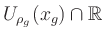 $ U_{\rho_g}(x_g)\cap\mathbb{R}$